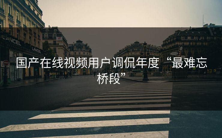 国产在线视频用户调侃年度“最难忘桥段”