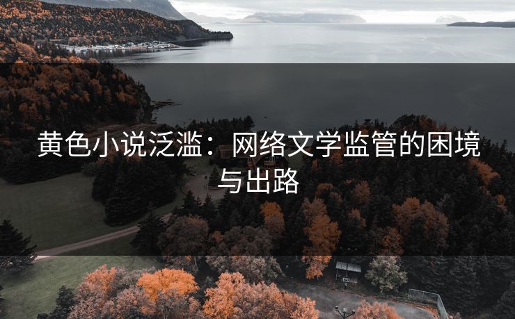 黄色小说泛滥：网络文学监管的困境与出路