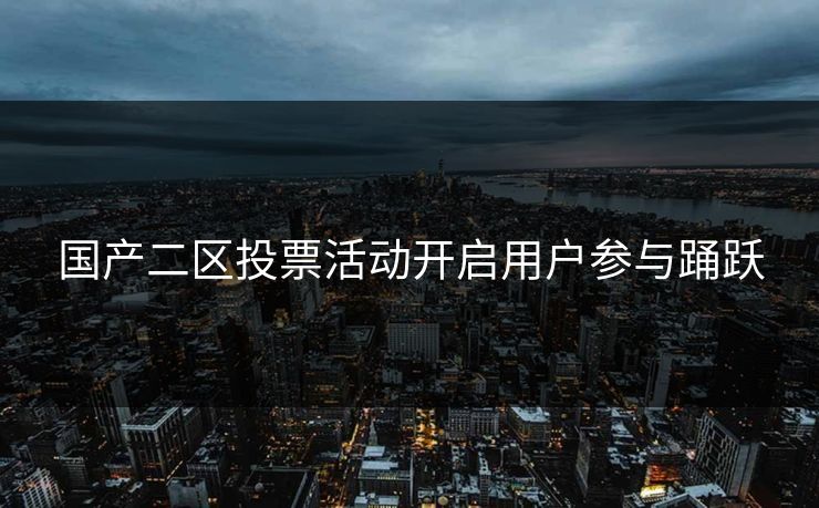 国产二区投票活动开启用户参与踊跃