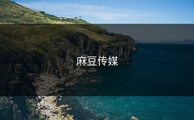 麻豆传媒