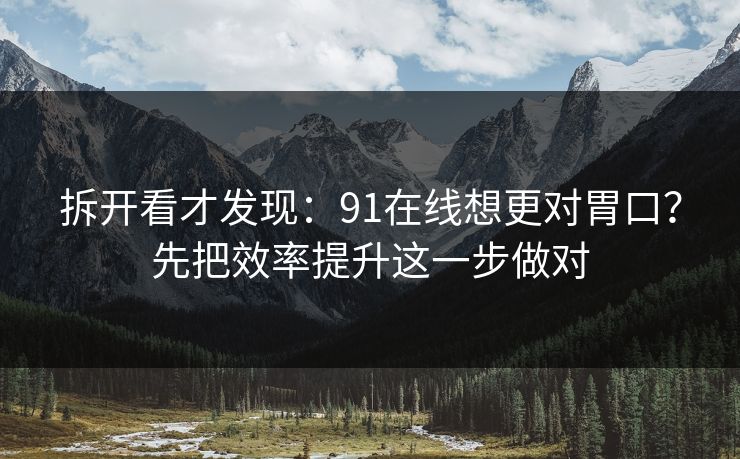 拆开看才发现：91在线想更对胃口？先把效率提升这一步做对