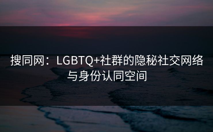 搜同网：LGBTQ+社群的隐秘社交网络与身份认同空间